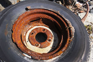 Beach combing Aramoana styles