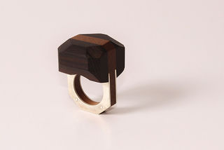 Interplay ring