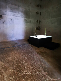 Present matter vault install