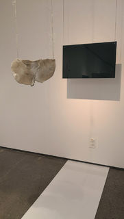 JewelDISPLAYJewel install - Pataka Art Museum