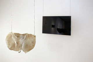JewelDISPLAYJewel install - Pataka Art Museum