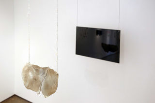 JewelDISPLAYJewel install
