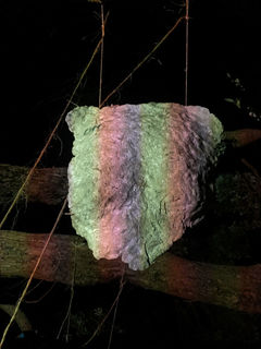 Projection test