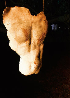 A breastplate sans projection lighting