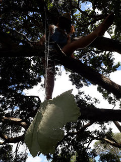 Hanging out