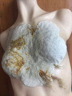 Female breastplate
