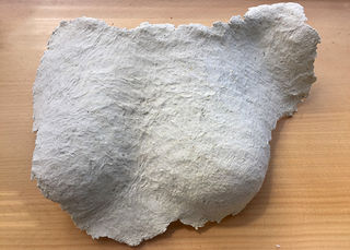 A less robust dried breastplate