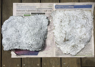 Limewash colour treatment