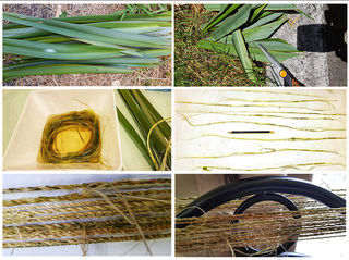 Muka fibre process