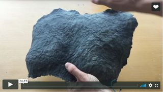 Video of first dried breastplate